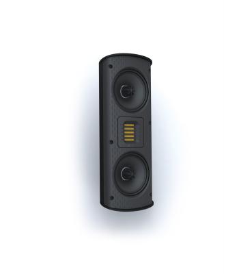 GoldenEar SuperSat 3 On Wall Speaker